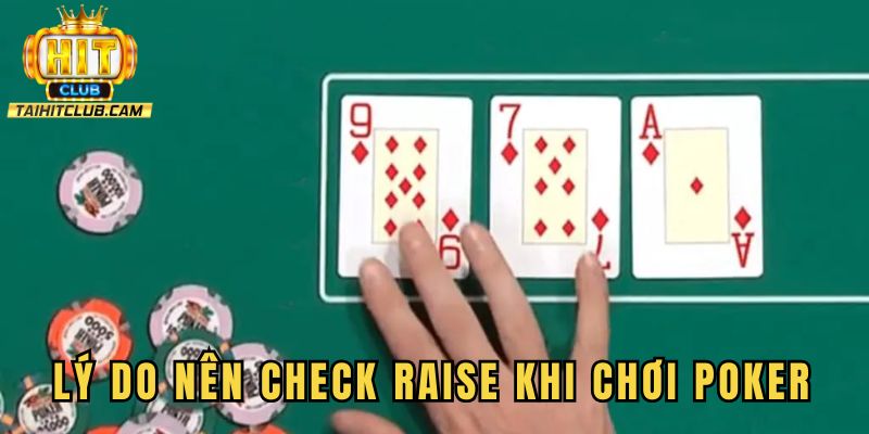 Lý do nên check raise khi chơi game poker