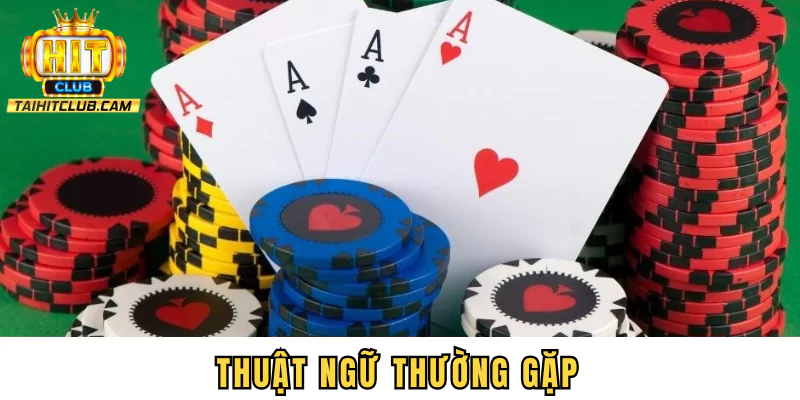 Thuật ngữ thường gặp